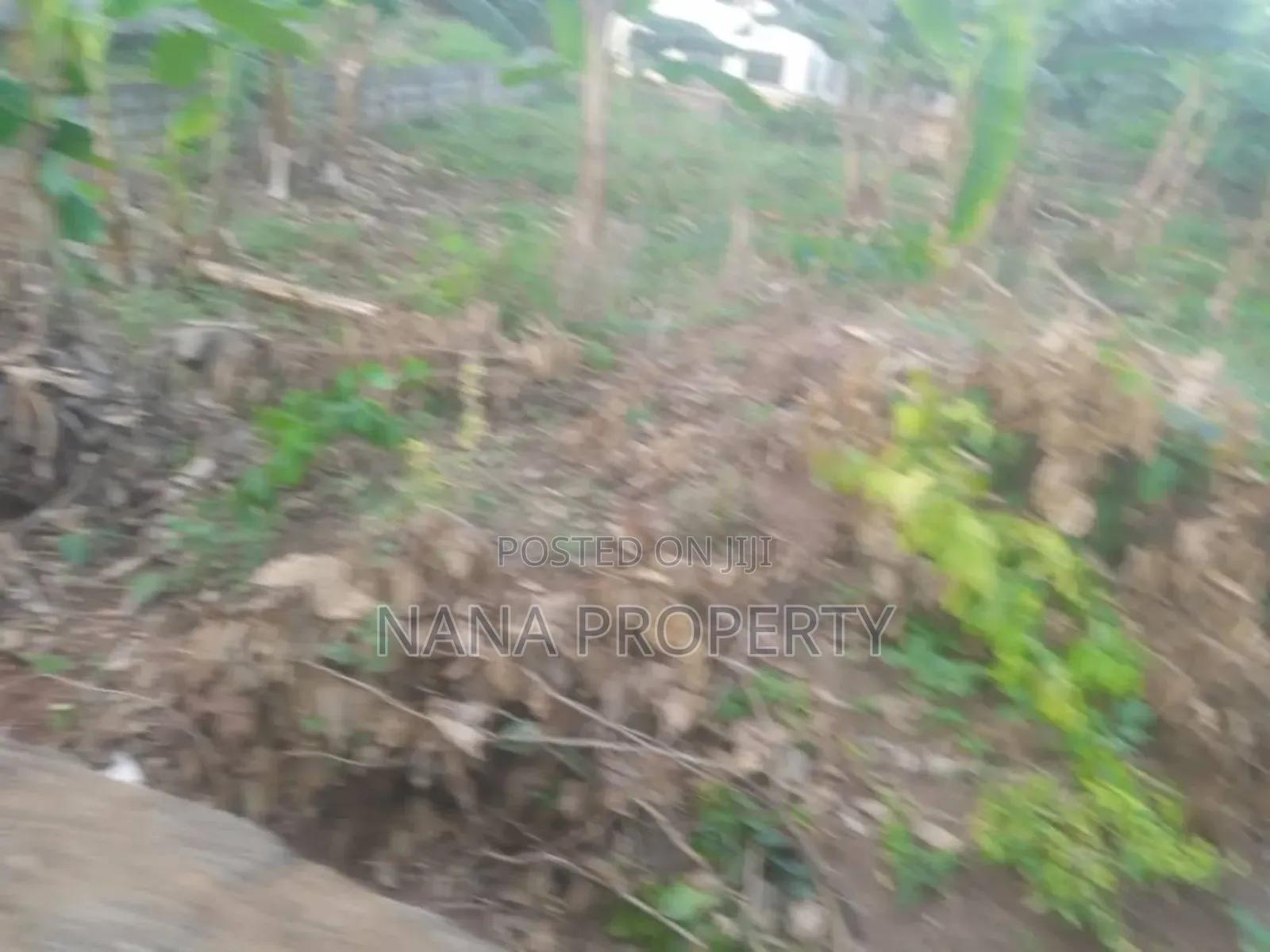 One and Half Plot of Land for Sale Located at Oyarifa Kuotaa