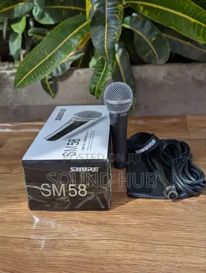 Professional Shure Wired Microphone Black