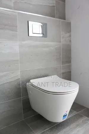 Wall Hung Wc Pot Only. Concealed. Toilet Seat Pot. 625. White