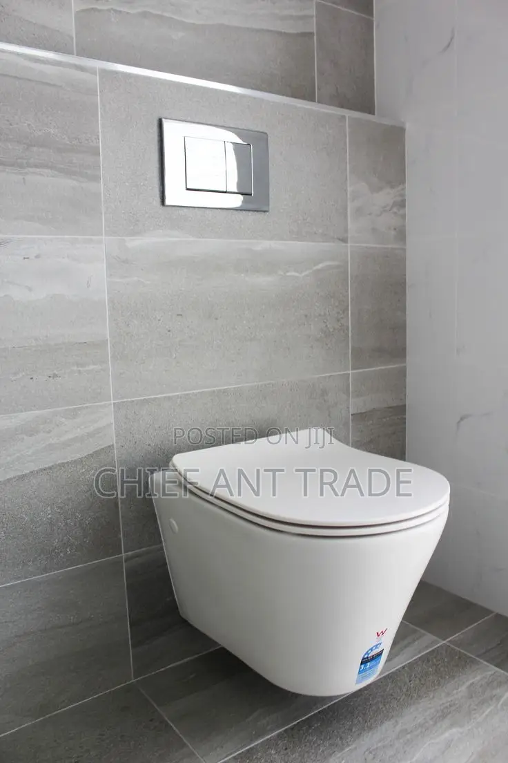 Wall Hung Wc Pot Only. Concealed. Toilet Seat Pot. 625. White