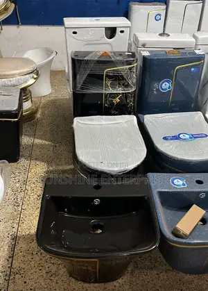 Black And Gold Water Closet With Basin