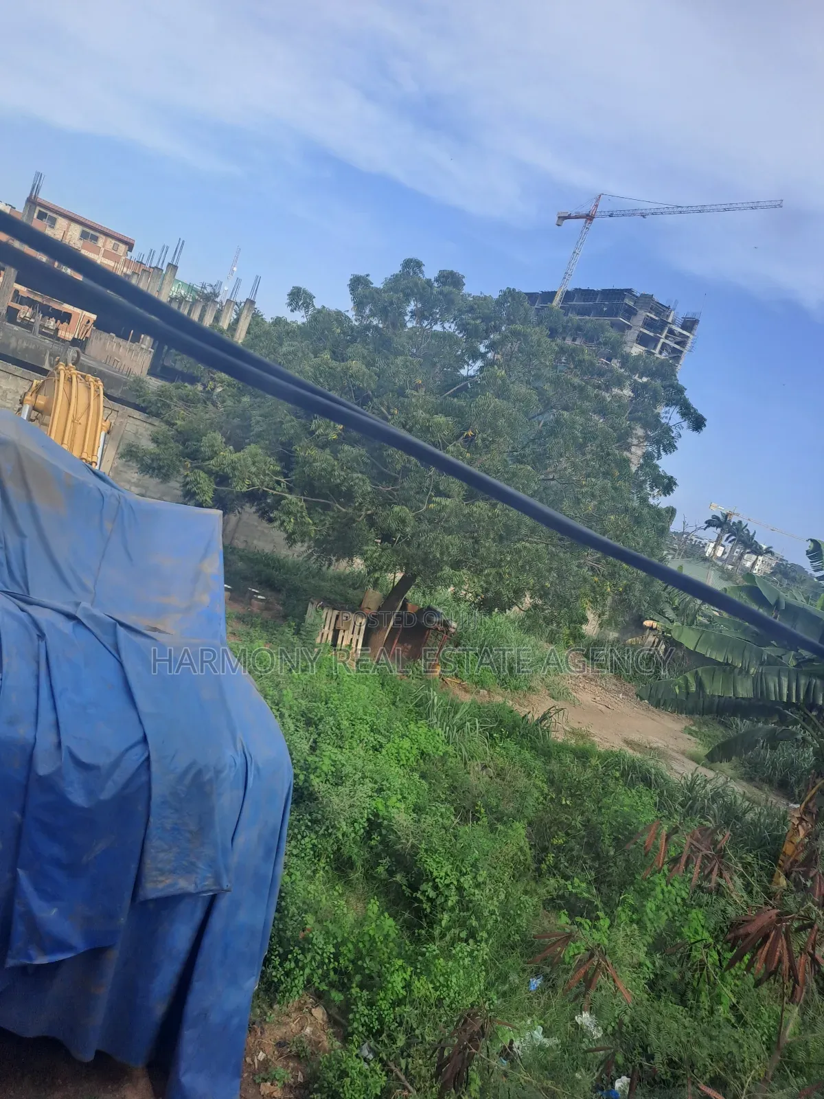 Land Forsale -Cantonment