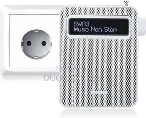 Blaupunkt PDB 100 Sockets Radio