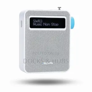 Blaupunkt PDB 100 Sockets Radio
