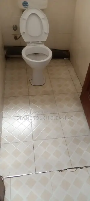 Cleaning Services and Laundry