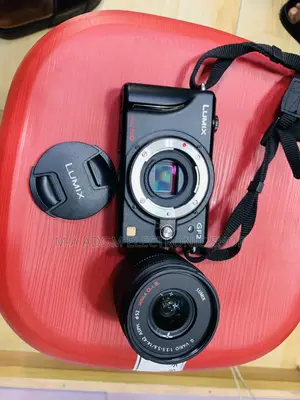 Panasonic GF2 Camera