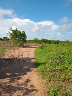 Alpha Properties Land for Sale at Winneba Nsuakyiri Beach Area