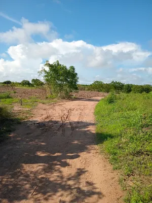 Alpha Properties Land for Sale at Winneba Nsuakyiri Beach Area