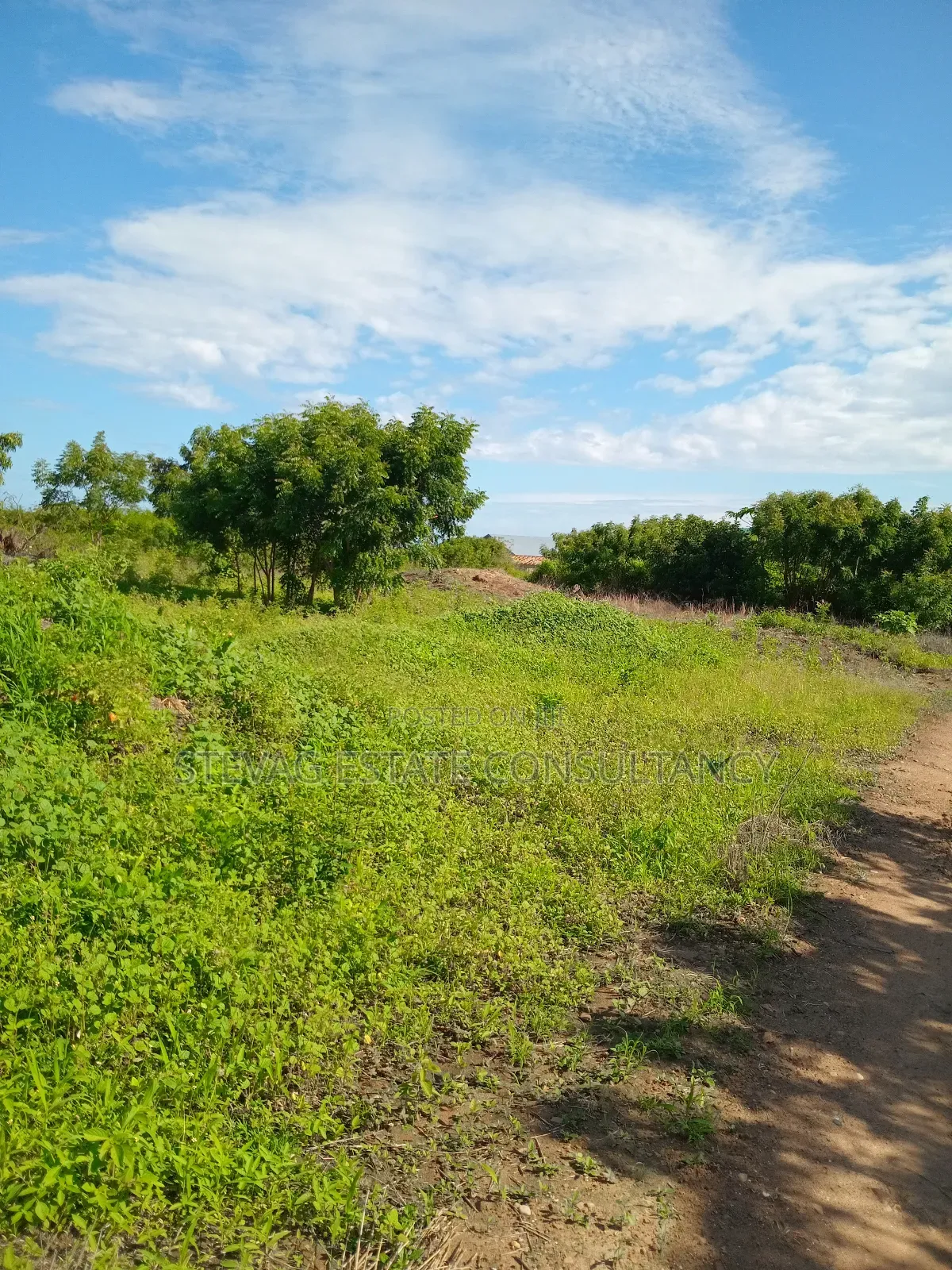 Alpha Properties Land for Sale at Winneba Nsuakyiri Beach Area