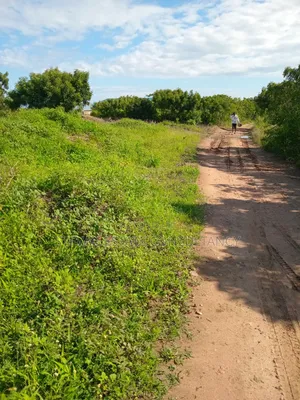 Alpha Properties Land for Sale at Winneba Nsuakyiri Beach Area