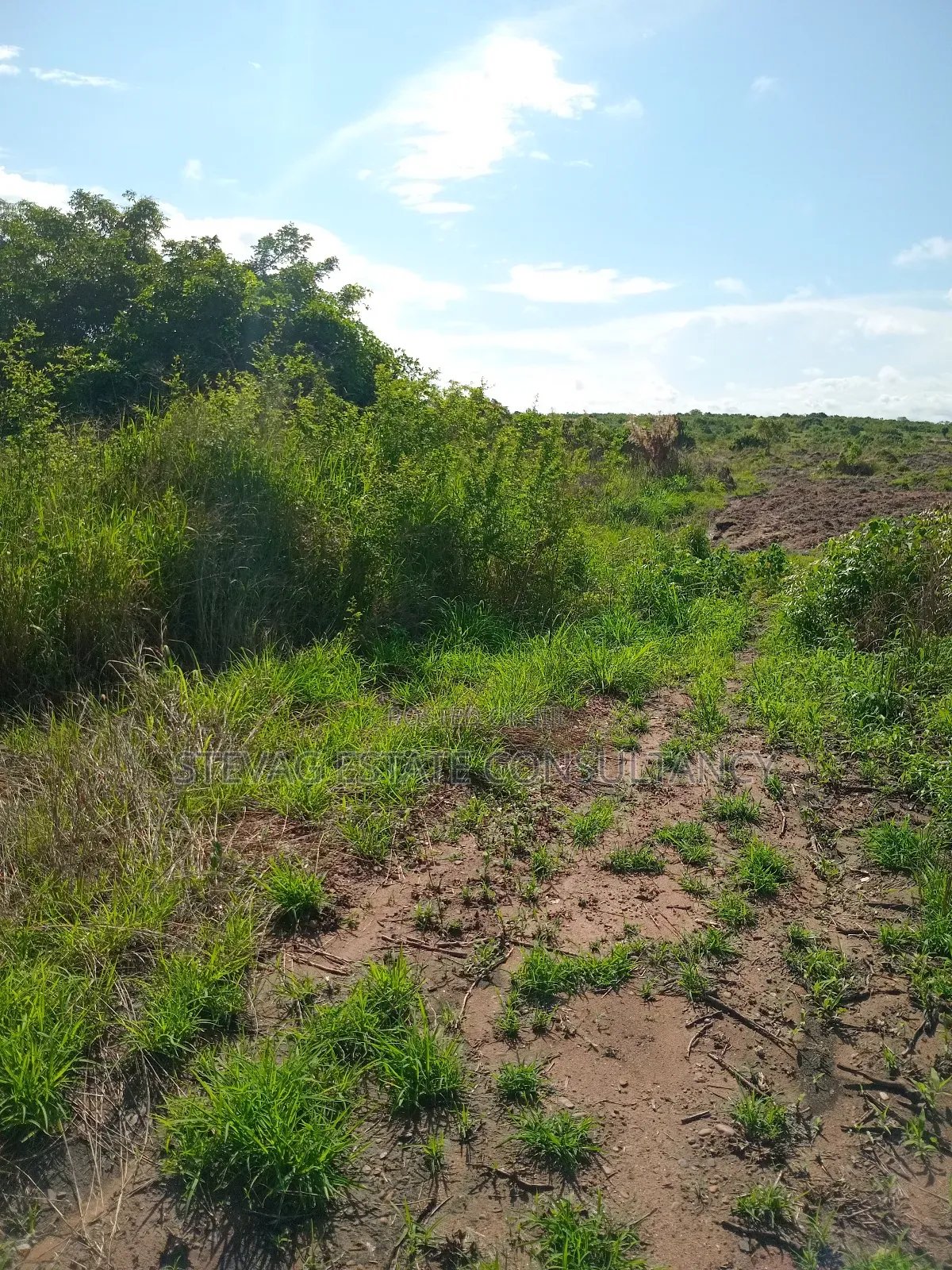 Alpha Properties Land for Sale at Winneba Nsuakyiri Beach Area