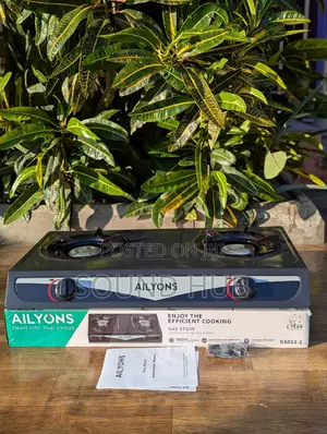 AILYONS Stainless Steel Doub Gas Burner - Black