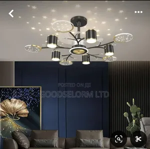 Star in the Sky Ceiling Lights