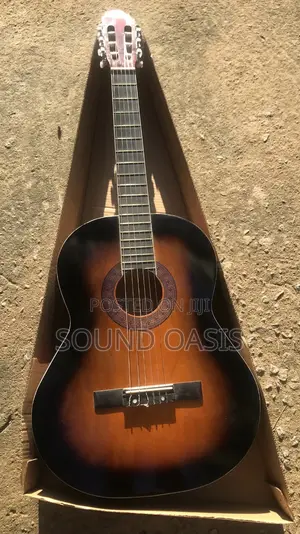 Professional Acoustic Guitar