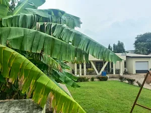 3bdrm House in Unique Key Agency, Airport Residential Area for sale