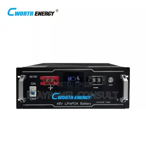 Cworth 48v 100ah Lifepo4 Battery