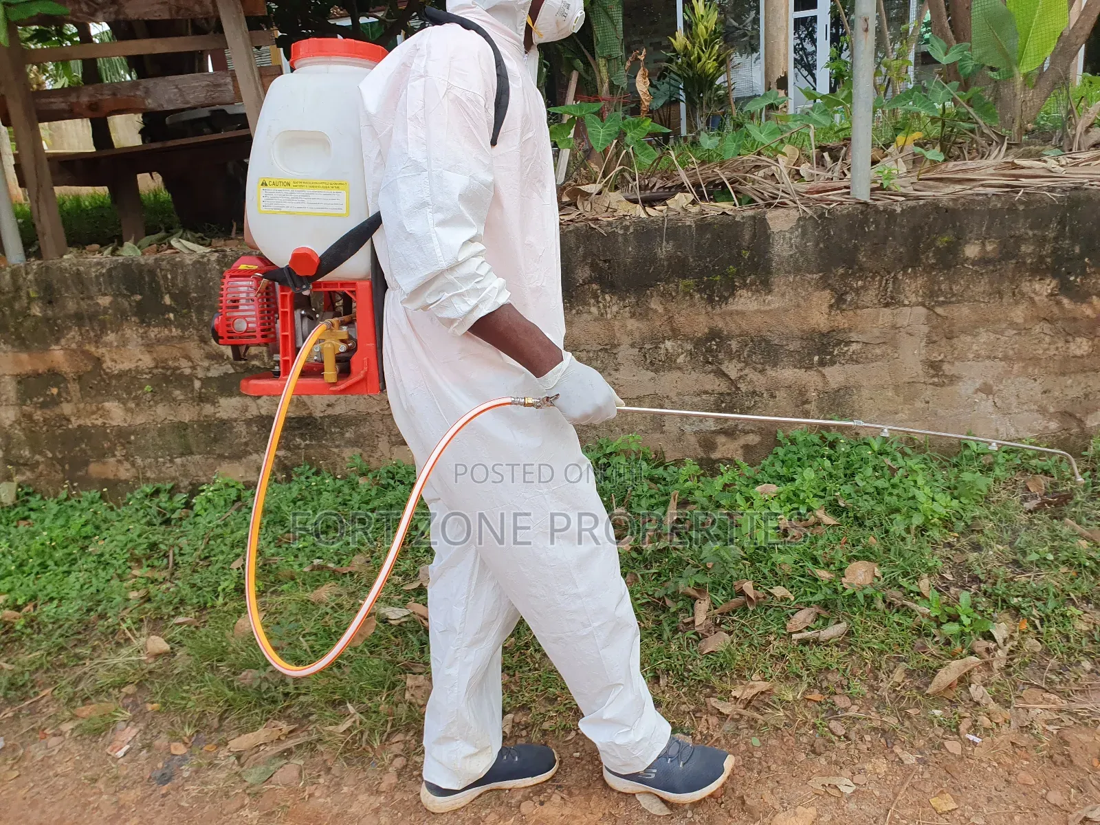 Get Rid of All Insects,Rodents and Reptiles From Your Homes
