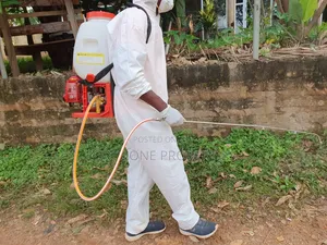 Get Rid of All Insects,Rodents and Reptiles From Your Homes