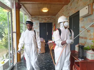 Bedbug,Cockroaches,Snakes,Lizards