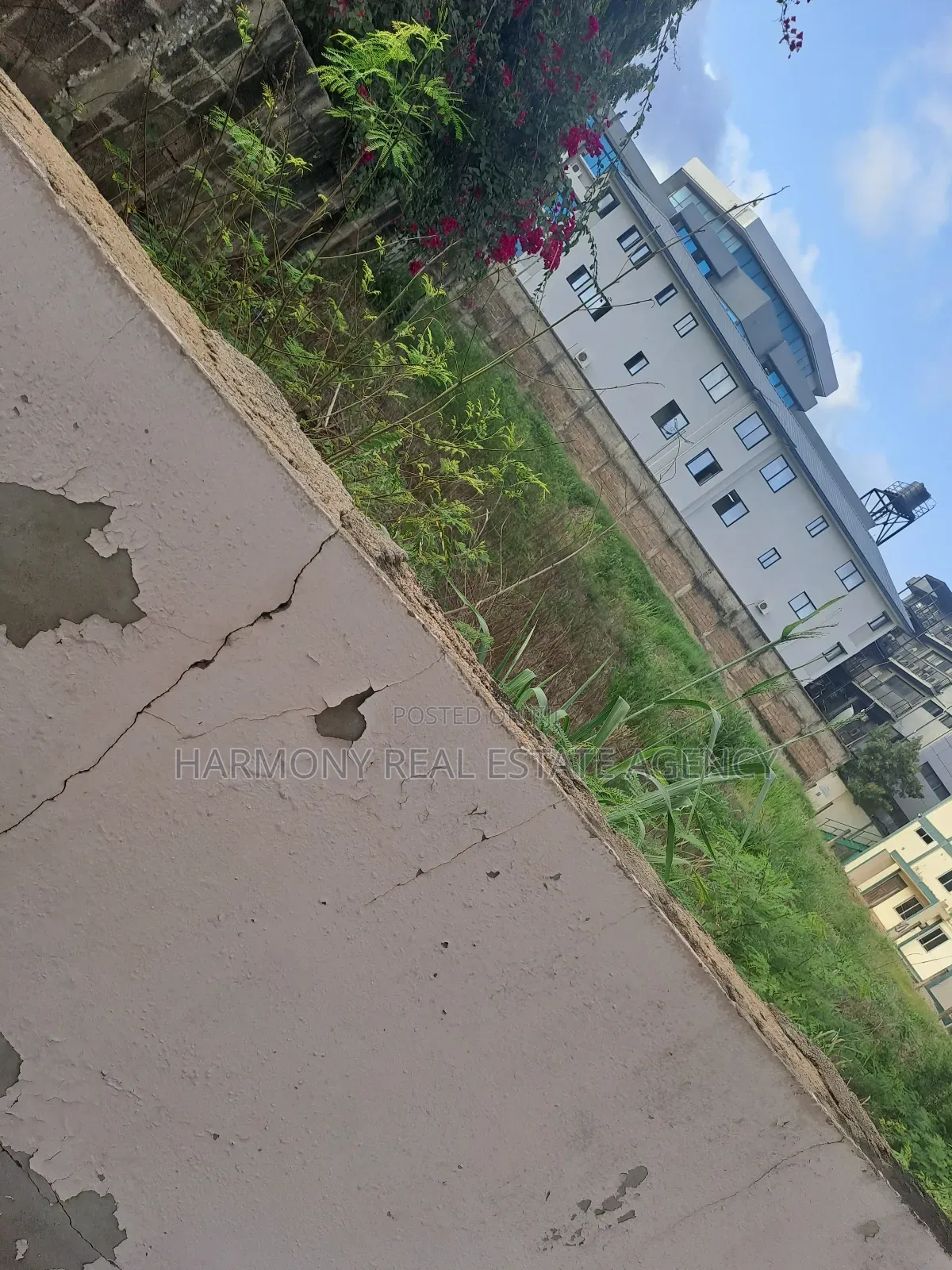 2plots Forsale -Tesano