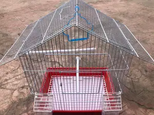 Ringneck Parrot Cages