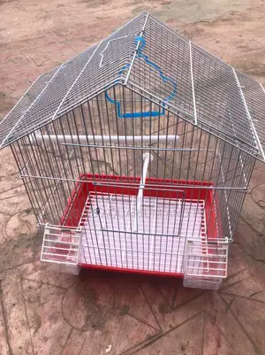 Ringneck Parrot Cages