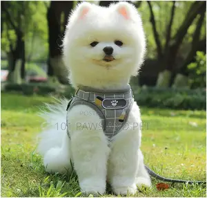 Protective Dog Harness Vest for Dogs