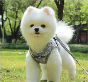 Protective Dog Harness Vest for Dogs