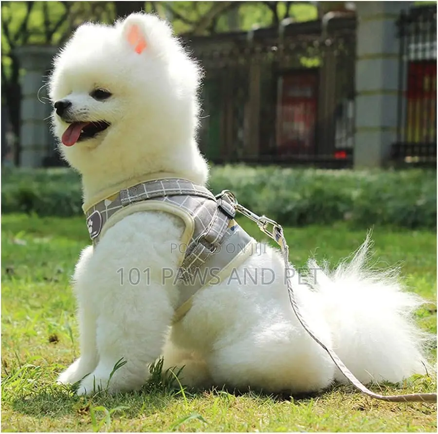 Protective Dog Harness Vest for Dogs