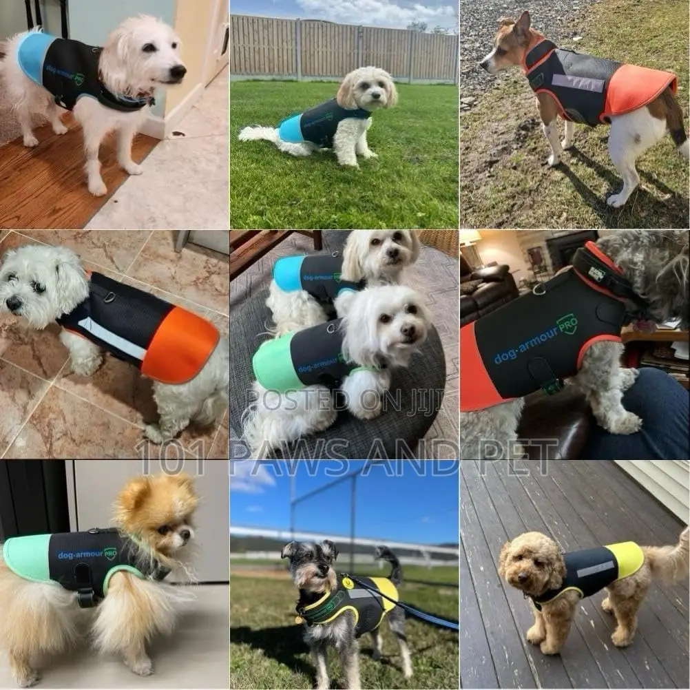 Protective Dog Harness Vest for Dogs