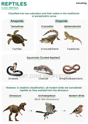Get Rid of All Pest From Homes and Office Today