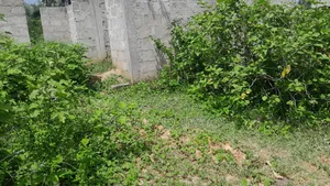 Half Plot for Sale at Kansa City