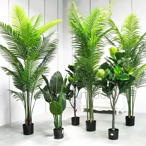 Flower Plant For Sale