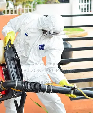 Fumigate Your House Today