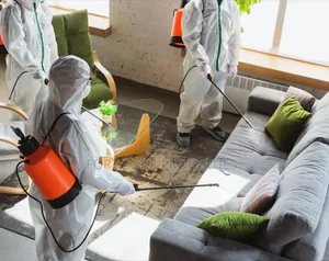 Fumigate Your House Today