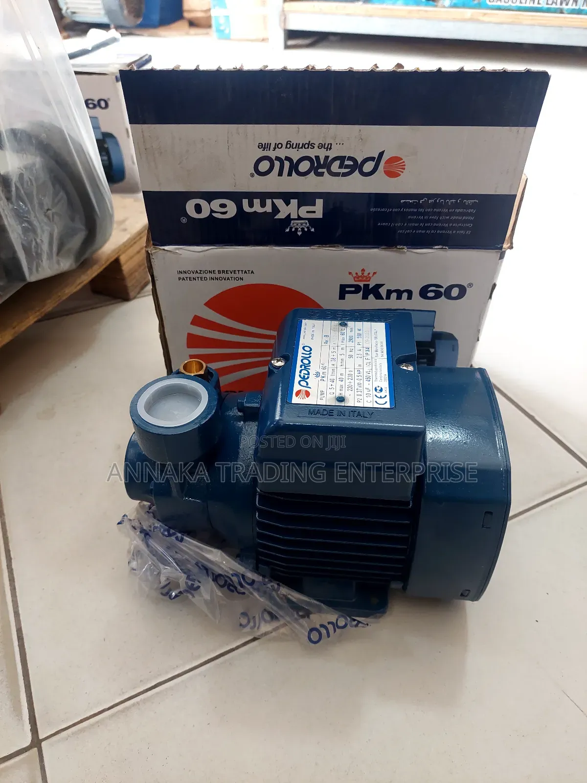 Pedrollo Water Pump