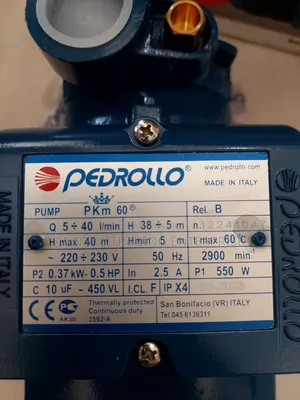 Pedrollo Water Pump