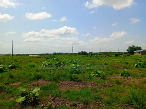200 Acres of Riverfront Land at Atimpoku Juapong