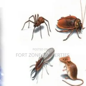 Insects Away From Your Home Now!
