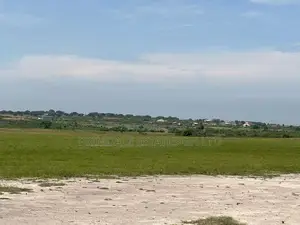 Litigation Free Lands at Tsopoli (Lakpleku)