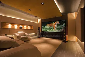Executive Home Cinema