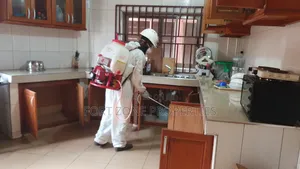 Mosquito Extermination