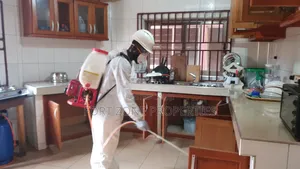 Mosquito Extermination