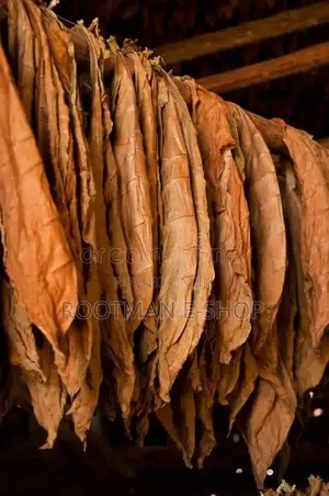 Pure Organic Tobacco Leaves ( Grabba ) .