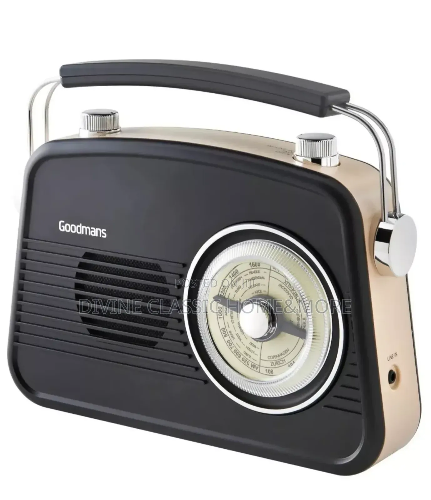 Goodmans Revive Fm/Am Radio