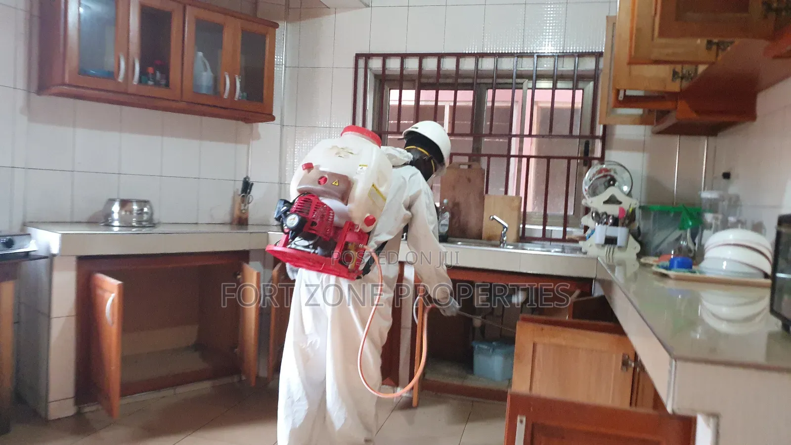 Cockroaches Extermination