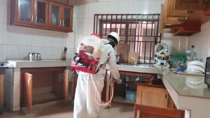 Cockroaches Extermination