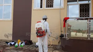 Cockroaches Extermination