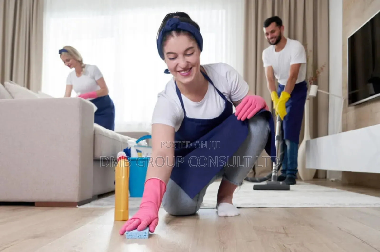 Professional Cleaners 4you
