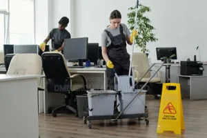 We Cleaners